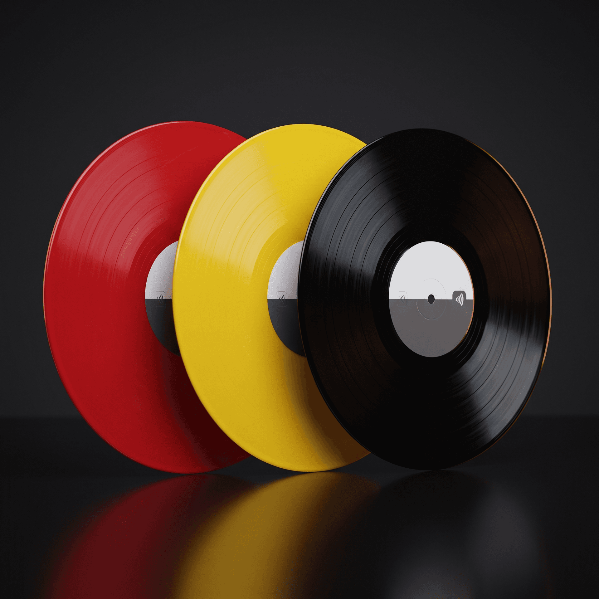 12" vinyl product photo